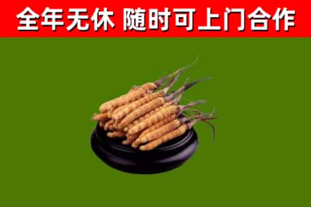 双江县烟酒回收冬虫夏草.jpg